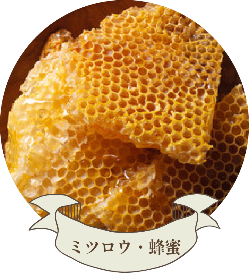 ミツロウ・蜂蜜